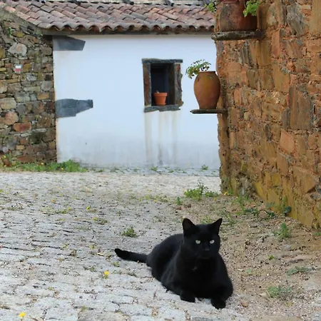 Vilar Dos Condes-casa Do Pateo Country house